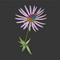 Purple Flower with Slender Petals Yellow Center and Bee on Green Stem