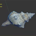 Modern Conch Bone Snail Field Snail 3d model
