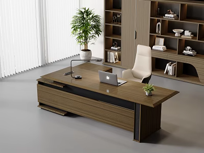 Wooden Desk With Laptop Desk Lamp Small Potted Plant White Chair Bookshelves By Window 3d model