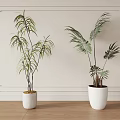 Two Indoor Potted Plants In White Pots With Decorative Frame Wall And Wooden Floor