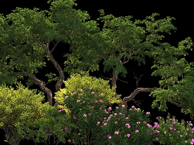 Lush Green Shrubs With Pink Flowers And Lush Foliage In Garden 3d model