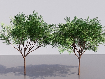 Modern Tall Trees Arbor Landscape Plant Trees Courtyard Trees Small Trees Street Trees Big Trees 3d model