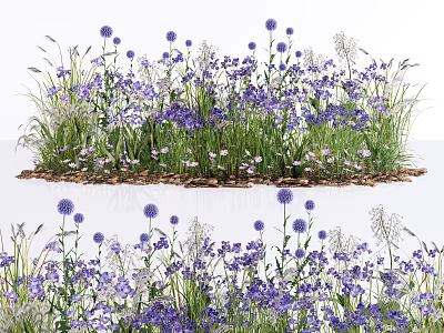 Vibrant Purple Blooming Flowers And Lush Green Grass In Natural Garden 3d model