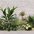 Lush Plant Combination With Tropical Green Foliage Flowering Plants Stone Wall And Pathway
