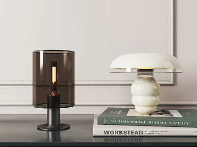 Stylish Table Lamps With Dark Transparent Shade White Spherical Base On Stacked Books Minimalist Wall 3d model