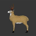 Deer Sculpture With Red Antlers Brown Yellow White Belly Black Hooves Gray Background Reflective Ground