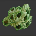 Orange and White Aquatic Sponge with Porous Structure and Multiple Holes