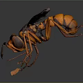 Realistic Wasp With Yellow And Black Striped Body And Transparent Pink Wings