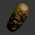Fresh Yellow Corn Cob With Plump Juicy Kernels On Gray Background