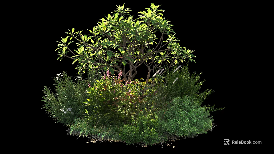 Lush Garden Shrubs With Diverse Green Foliage And Ground Cover Plants 3d model 