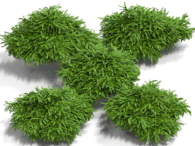Lush Green Aquatic Plants Thriving in Freshwater Natural Growth Environment 3d model