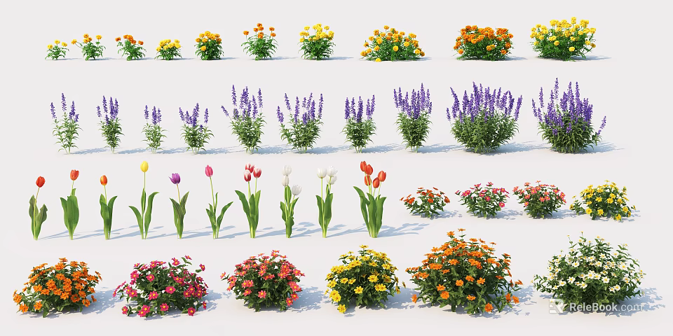 Colorful Assorted Flowers And Green Plants In Garden Display Collection 3d model 