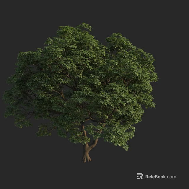 Lush Green Arbor With Thick Trunk And Dense Foliage Canopy 3d model