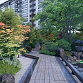 Tranquil Residential Landscape With Lush Greenery Diverse Trees Stone Pathway Rock Formations And Small Pond