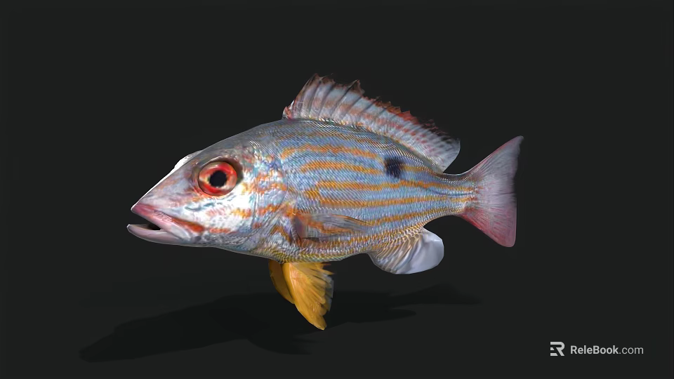 Vibrant Aquatic Fish With Red Eyes Yellow Blue Stripes And Black Spots 3d model 