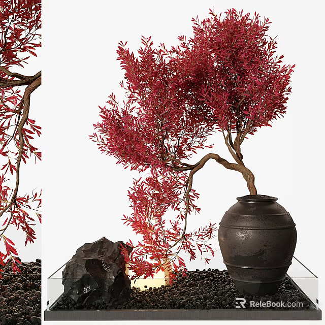 Bonsai Plant with Red Leaves Curved Trunk in Black Ceramic Pot and Decorative Stone Pebbles 3d model 