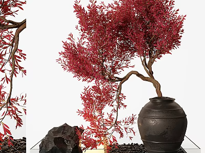 Bonsai Plant with Red Leaves Curved Trunk in Black Ceramic Pot and Decorative Stone Pebbles 3d model