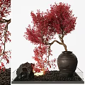 Bonsai Plant with Red Leaves Curved Trunk in Black Ceramic Pot and Decorative Stone Pebbles