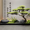 Indoor Landscape Design With Bonsai Pine Chinese Calligraphy Black Basin And Green Plants