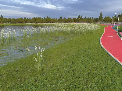 Scenic Park Landscape With Lake Reeds Green Grass And Red Path Along Trees 3d model