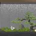 Indoor Landscape With Glass Frame Bonsai Pine Tree Moss Stacked Stones Small Lights Textured Wall