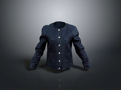 Stylish Dark Blue Denim Jacket With Diamond Quilting And Button Details 3d model
