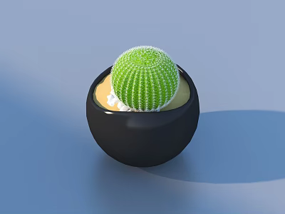 Bonsai Potted Plant Green Cactus in Black Pot with Sand 3d model