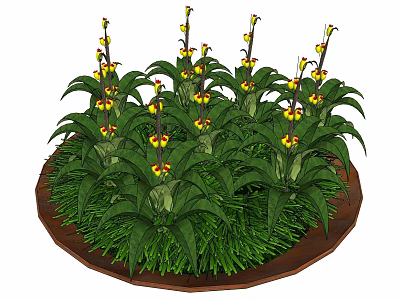 Bonsai Potted Plant with Circular Pot Green Leaves and Yellow Small Flowers 3d model