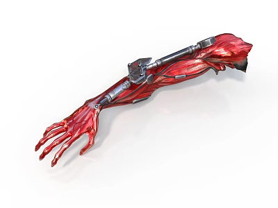 Futuristic Red Robotic Mechanical Arm With Metal Structure And Muscle Design 3d model