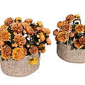Beautiful Orange And Yellow Flowers In Wicker Baskets With Green Leaves