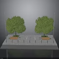 Urban Rest Area Scene With Two Green Trees Street Lamps Wooden Benches And Paved Ground
