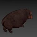 Realistic Hippopotamus Figure Standing Still With Long Shadow On Gray Background