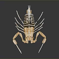 Wooden Reptile Scorpion 3D Model With Reflection On Dark Background