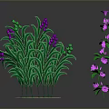 Potted Plants With Green Leaves Purple And Pink Flowers On Base