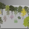 Diverse Arbor Trees With Various Colors And Different Species 3d model