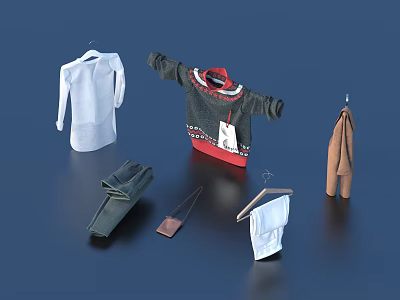 Assorted Clothes Display With White Shirt Red Black Sweater Brown Coat Green Pants And Hangers 3d model
