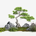 Natural Decorative Plant Combination Featuring Pine Tree Ferns Rocks And Grass 3d model