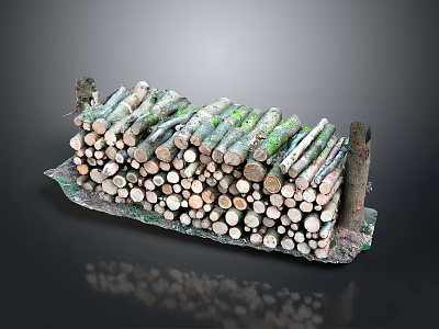 Natural Stacked Wood Logs Pile With Green Moss And Smooth Circular Ends 3d model