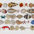 Aquarium Fish Tank Decorative Elements Including Seashells Starfish and Crabs 3d model