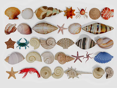 Aquarium Fish Tank Decorative Elements Including Seashells Starfish and Crabs 3d model