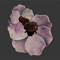 Artistic Plant With Purple Pink Petals And Trunk Like Center Structure With Gradient Colors
