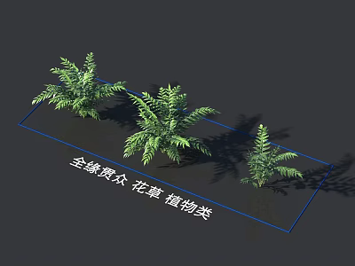 Green Quan Yuan Guan Zhong Flowers And Plants In Plant Category 3d model