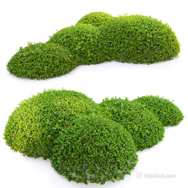 Green Well Trimmed Shrubs With Rounded Shape And Lush Foliage 3d model 