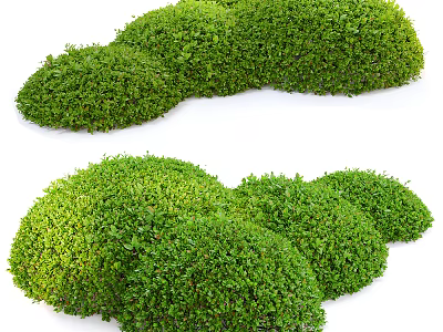 Green Well Trimmed Shrubs With Rounded Shape And Lush Foliage 3d model