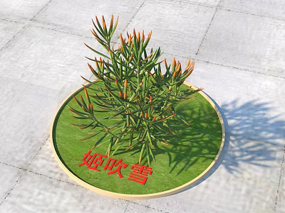 Jichuixue Plant With Green Leaves And Orange Tips On Circular Green Mat Grey Pavement 3d model