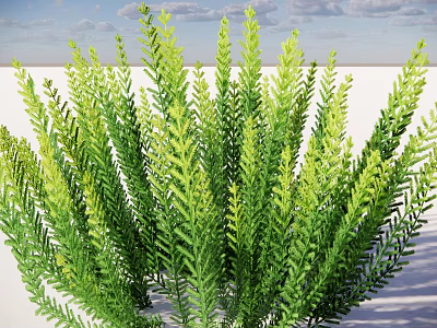Lush Green Foliage in Natural Outdoor Setting With Blue Sky and White Clouds 3d model