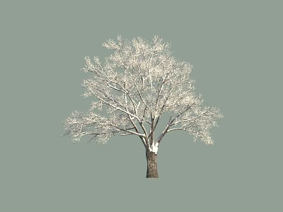 Arbor Tree With Leafless Snow Covered Branches Against Gray Background 3d model