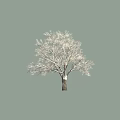 Arbor Tree With Leafless Snow Covered Branches Against Gray Background 3d model