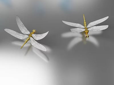 Two Yellow Dragonflies With Transparent Wings On Gray Reflective Background 3d model