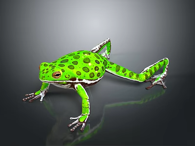 Vibrant Green Spotted Frog Standing on Shiny Reflective Surface with Extended Legs 3d model